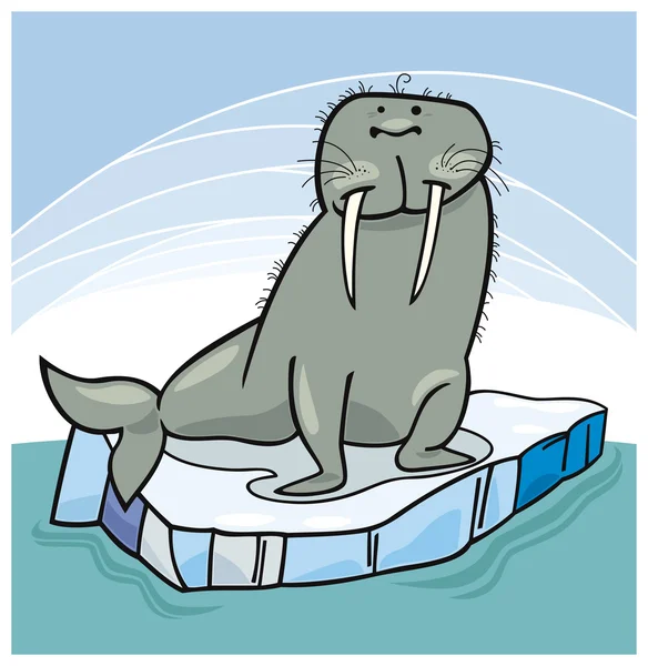 Морж на плавающем льду — стоковый вектор