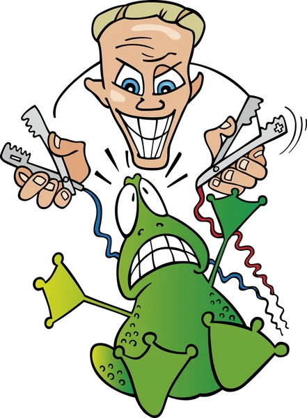 Crazy scientist and frog — Stock Vector