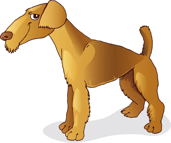 Airedale terrier dog — стоковый вектор