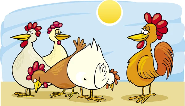 Haan en kippen — Stockvector