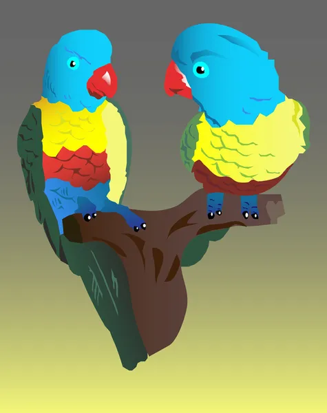 Dua burung beo - Stok Vektor