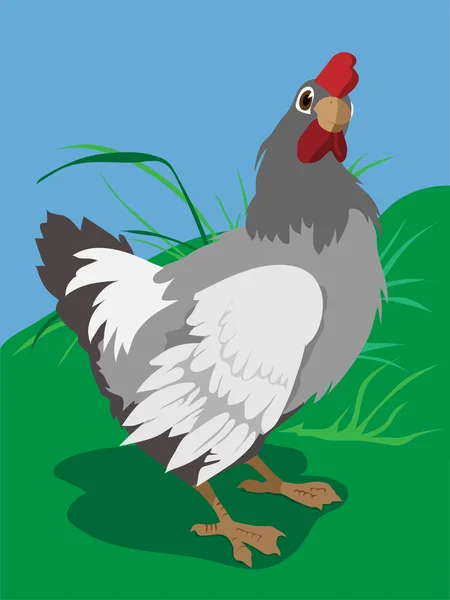 닭고기 — 스톡 벡터