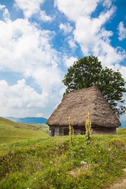 Traditional rustic house in Apuseni Mountains clipart