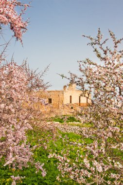 st. john ilahiyatçı Manastırı