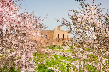 st. john ilahiyatçı Manastırı