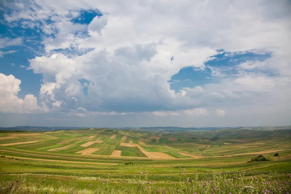 Cultivated Fields in Romania — Stock Photo, Image