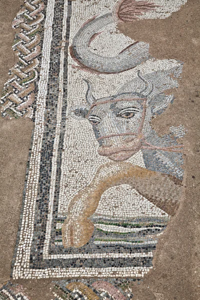 Mosaicos en los Grandes Baños de Dion — Foto de Stock