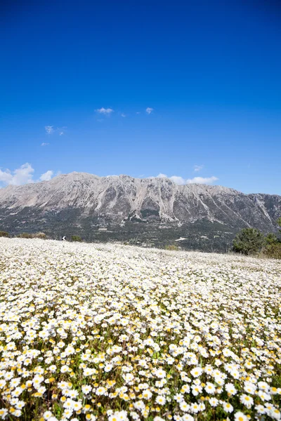 Mountains on Lefkada Island — Stock Photo, Image