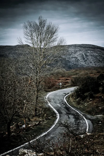 Kırsalda yol — Stok fotoğraf