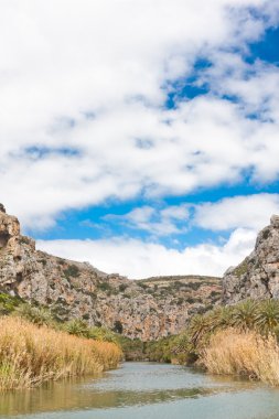 preveli Orman Gölü ve palm