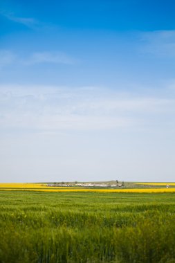 Kırsalda bir çiftlik.