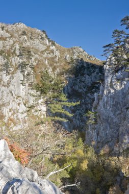 Tasnei Gorge