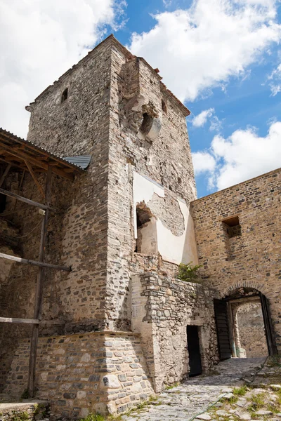Svatý dionysios klášter — Stock fotografie