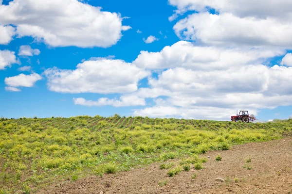 Traktor auf einem Feld — Stockfoto