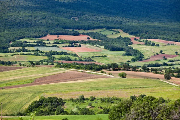 Landsbygdens landskap i thracia — Stockfoto