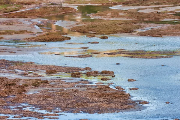 브 라브로 나 습지 — 스톡 사진