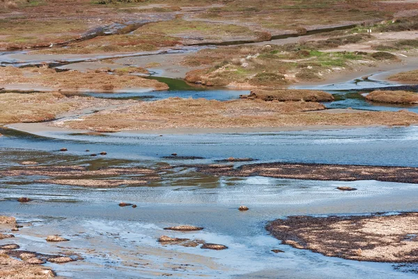 Zonas húmidas de Vravrona — Fotografia de Stock