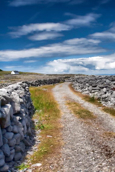 Ирландские дороги — стоковое фото