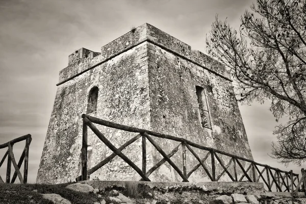 Torre dell'Aglio — Stock Photo, Image