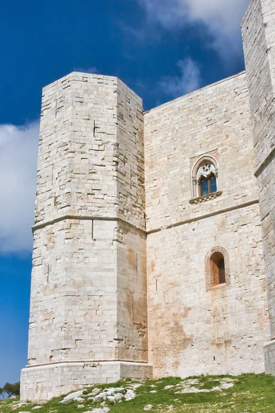 Castel Del Monte Przewodniczący — Zdjęcie stockowe