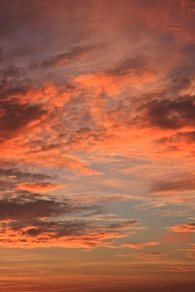 Autumn sunset — Stock Photo, Image