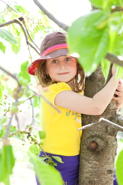 Climbing the tree — Stock Photo, Image