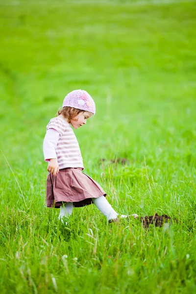 Любопытная маленькая девочка — стоковое фото