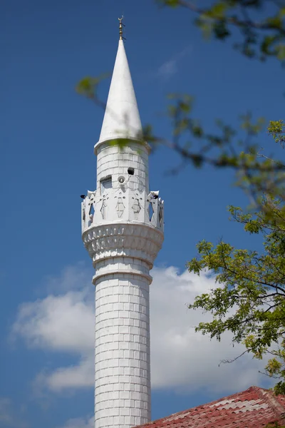 在奥特兰克 dacilor 清真寺 — 图库照片
