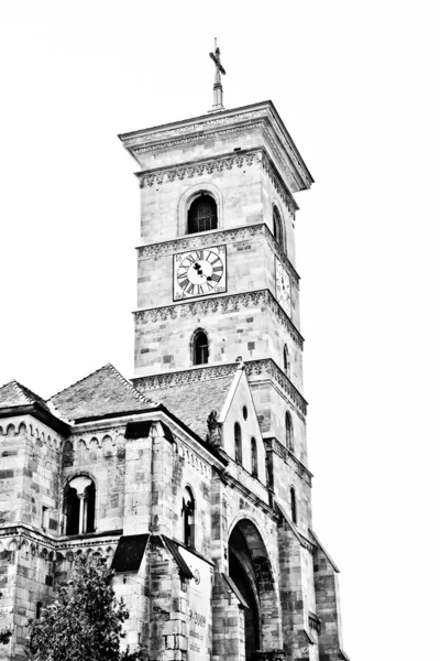 Katholieke kathedraal in alba iulia — Stockfoto