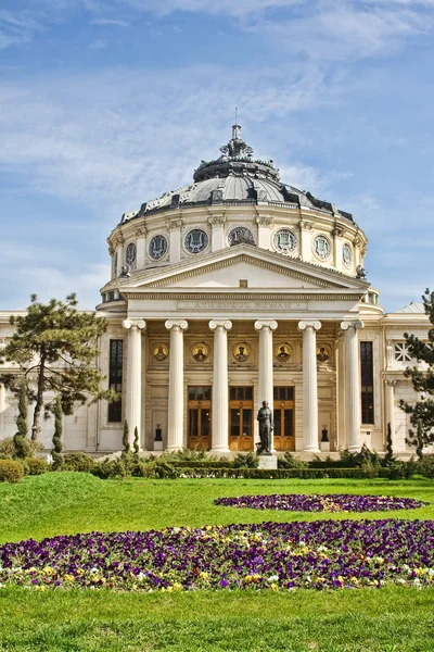 Bucareste atheneum — Fotografia de Stock