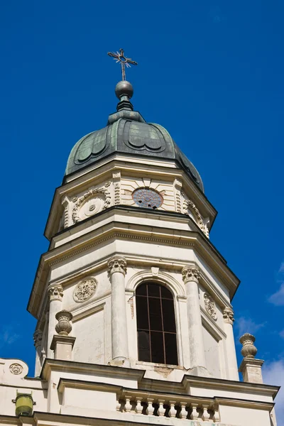 Büyükşehir Katedrali — Stok fotoğraf