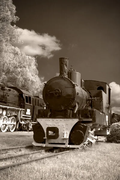 Comboios a vapor — Fotografia de Stock