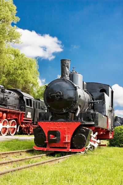 Comboios a vapor — Fotografia de Stock