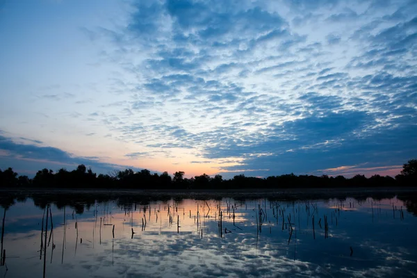 Delta del Danubio — Foto Stock