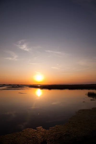 Delta del Danubio — Foto Stock