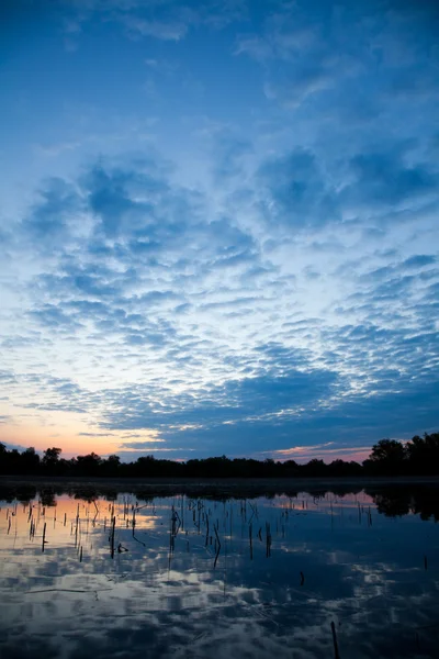 Delta del Danubio — Foto Stock