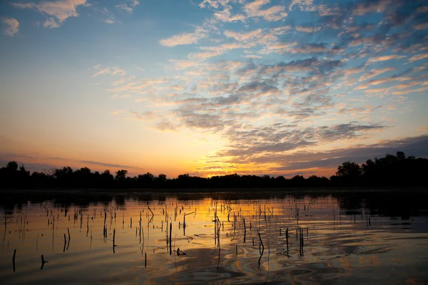 Delta del Danubio — Foto Stock