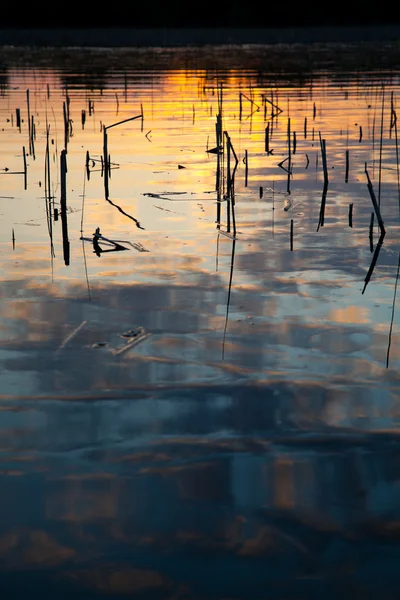 Delta del Danubio — Foto Stock