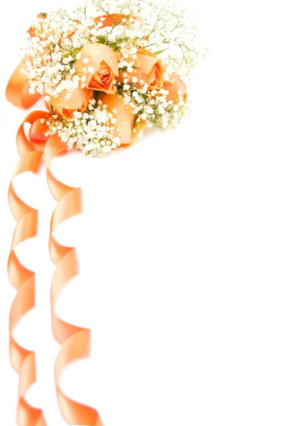 부드러운 장미 — 스톡 사진
