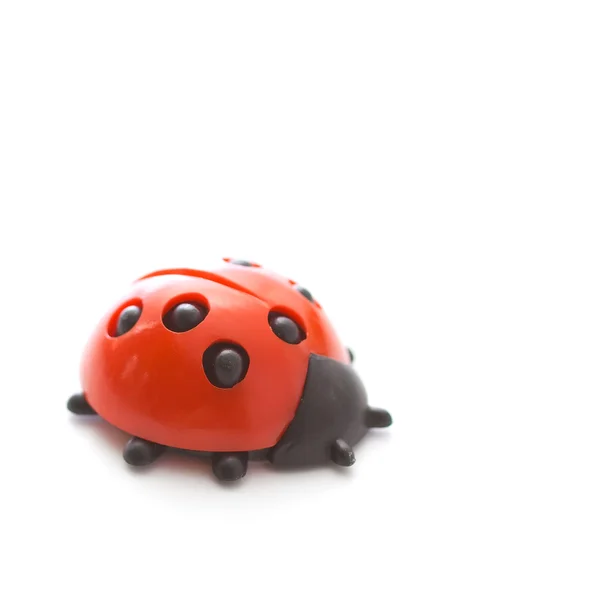 stock image Lady bug