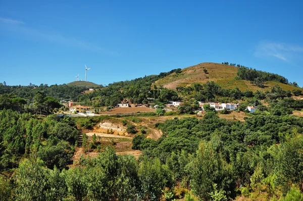 Portugal. wijngaarden — Stockfoto