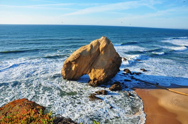 Portugal. Santa Cruz — Fotografia de Stock