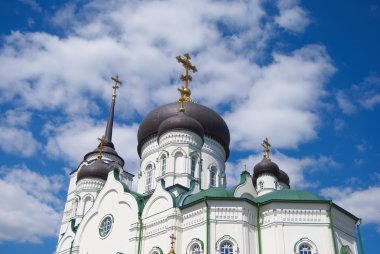 The Blagoveshchensk cathedral. A detail. clipart