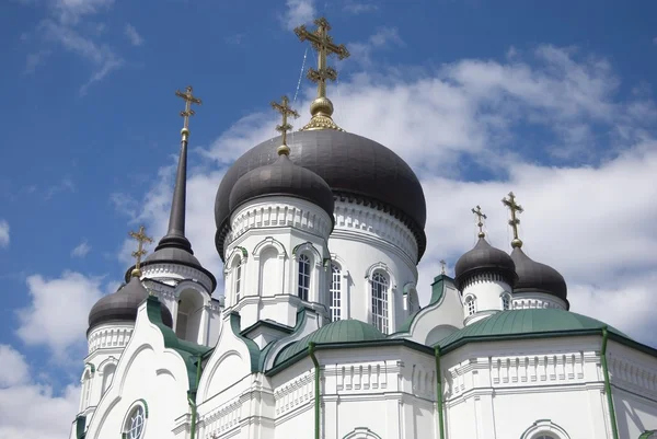 Blagovesjtjensk katedralen. en detalj. Royaltyfria Stockfoton