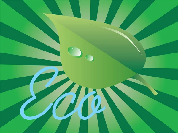 Eco blad — Stockvector
