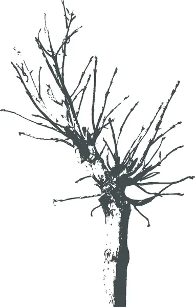 Grunge árvore — Vetor de Stock