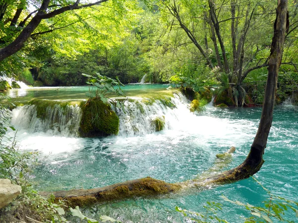 stock image Landscape of Plitvice