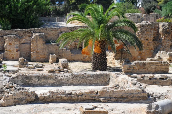 Ruinen von Karthago — Stockfoto