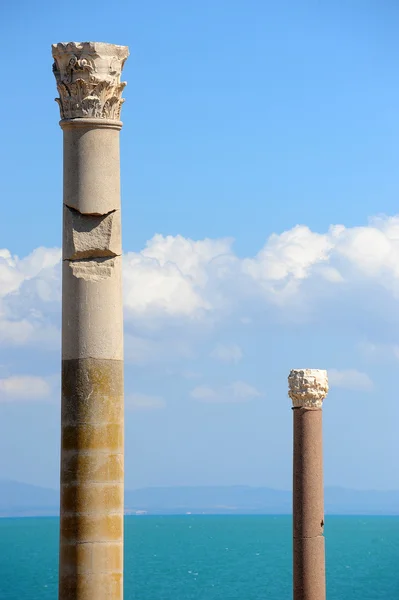 Ruinas de Cartago — Foto de Stock