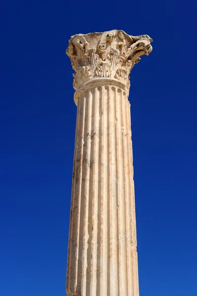 Karthago — Stockfoto
